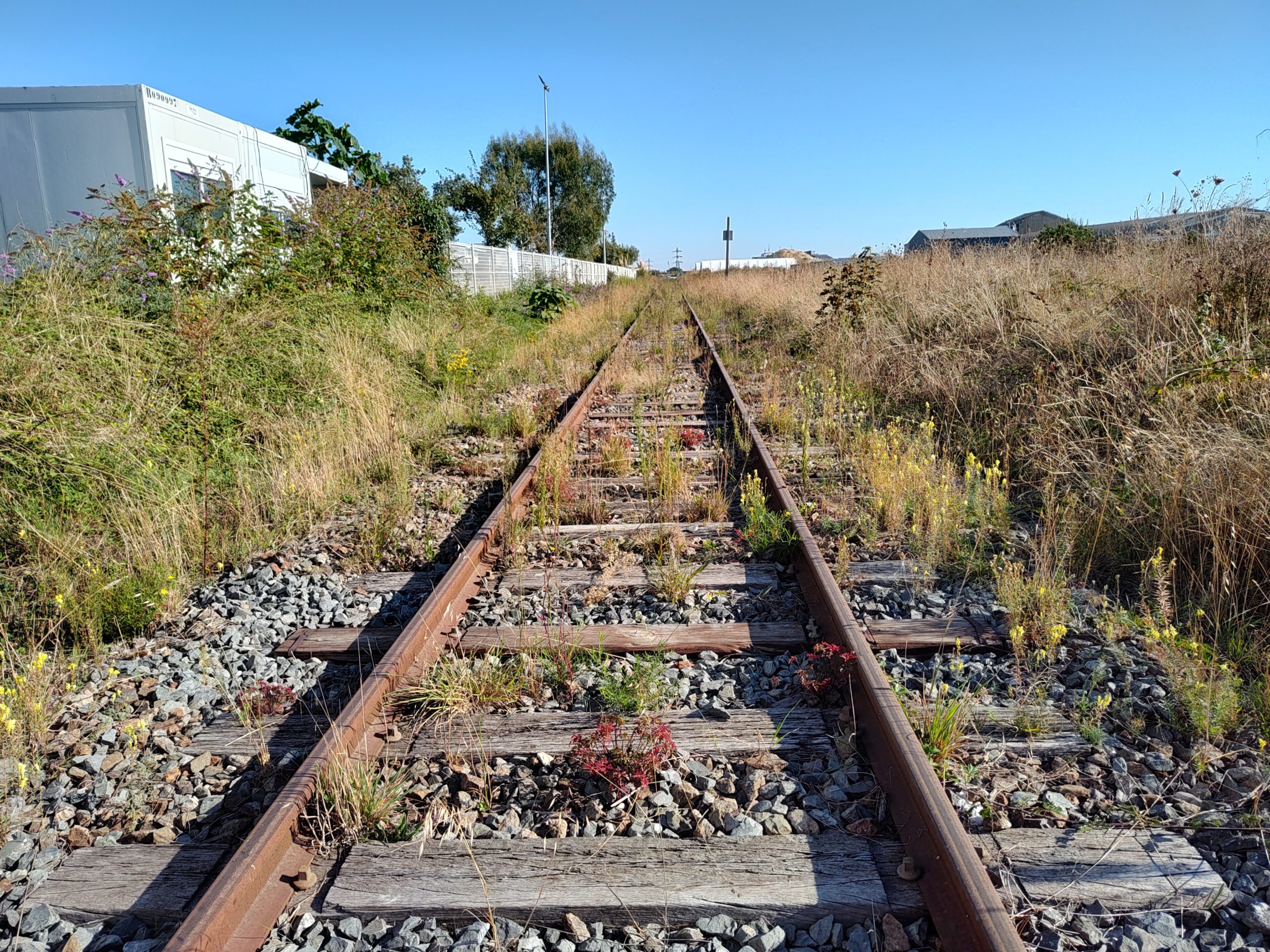 Rails